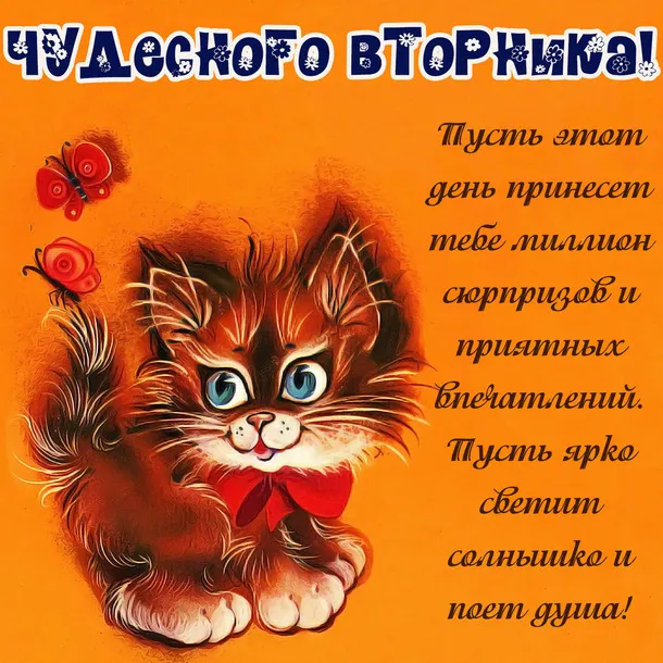 Открытка Вторник - Открытка с рыжим котенком и бабочками | Красивая открытка #4