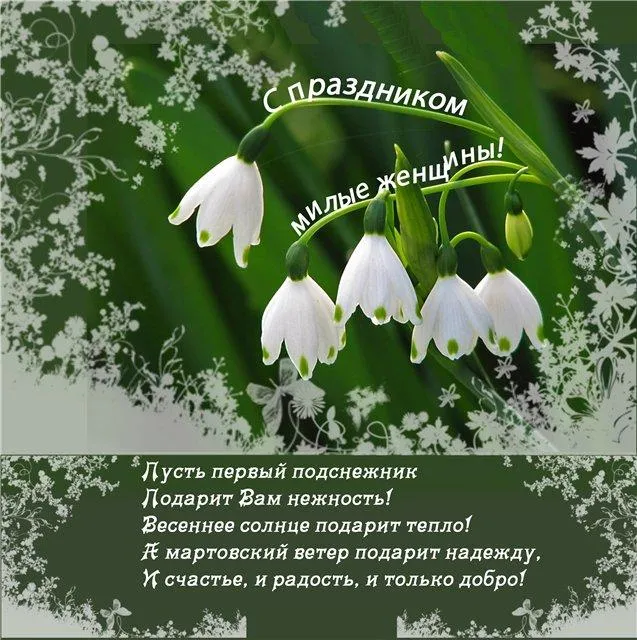Открытка 8 марта - Открытка с подснежниками: Весеннее настроение и нежность | Красивая открытка #69
