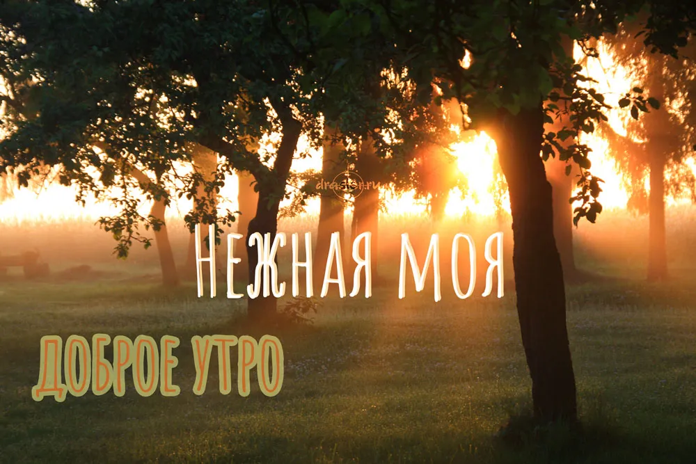 Открытка Открытки с добрым утром любимая - Доброе утро | Красивая открытка #14