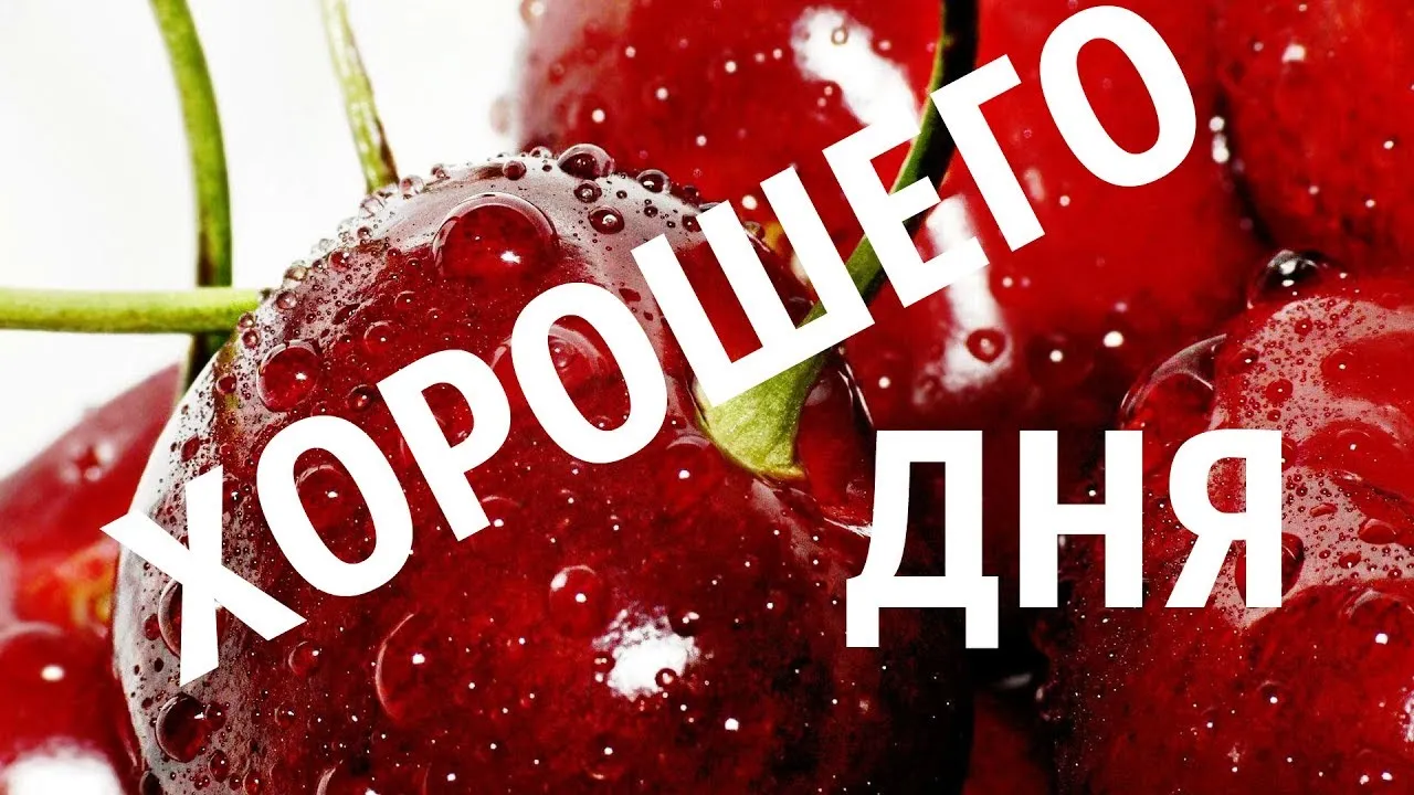 Открытка Хорошего дня - Открытка с сочными клубникой и каплями росы | Красивая открытка #178