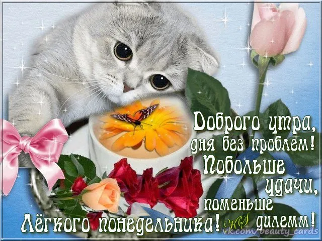 Открытка Удачного понедельника - Открытка с котенком и цветами  Поздравления с добрым утром | Красивая открытка #24
