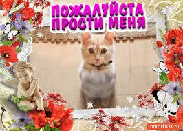 Открытка открытки с извинениями  - Открытка с котенком и ангелом в цветах | Красивая открытка #158