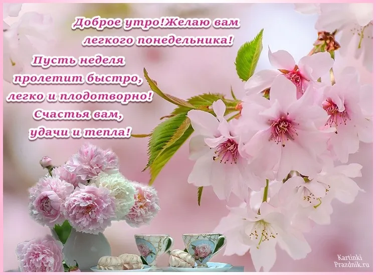 Открытка Доброе утро понедельник - Нежные весенние цветы: открытка с сакурой и чаем | Красивая открытка #15