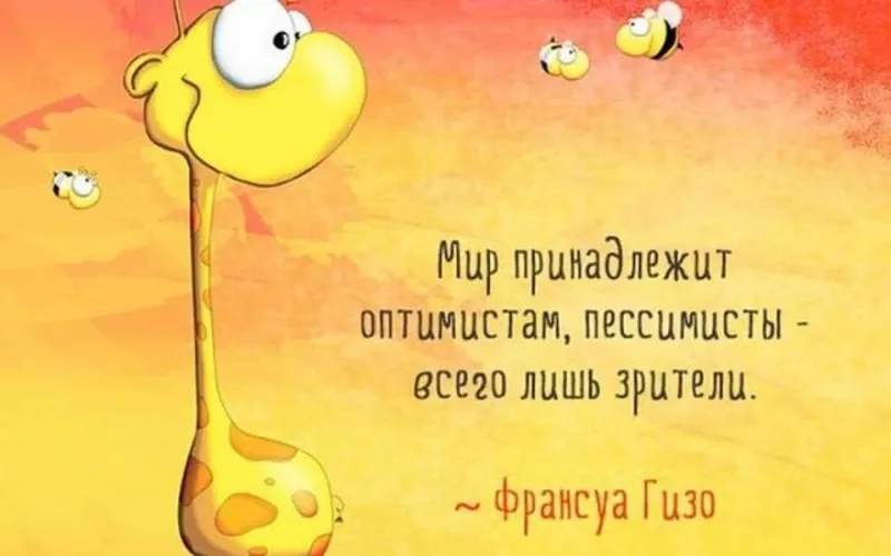 Открытка Высказывания, мысли - Открытка с жирафом Франсуа Гизо  купить онлайн | Красивая открытка #16