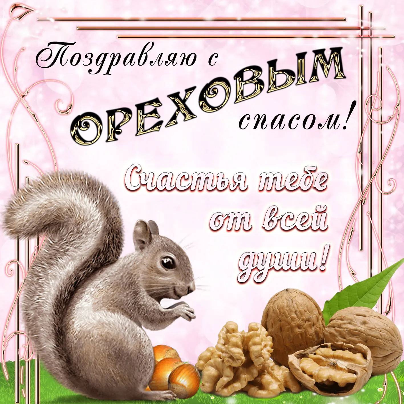 Открытка С белочками - Белка с орехами: открытка с поздравлениями | Красивая открытка #35
