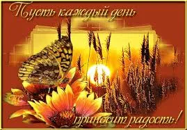Открытка Открытки с бабочками - Бабочка и цветы на закате: открытка с добрым утром | Красивая открытка #114