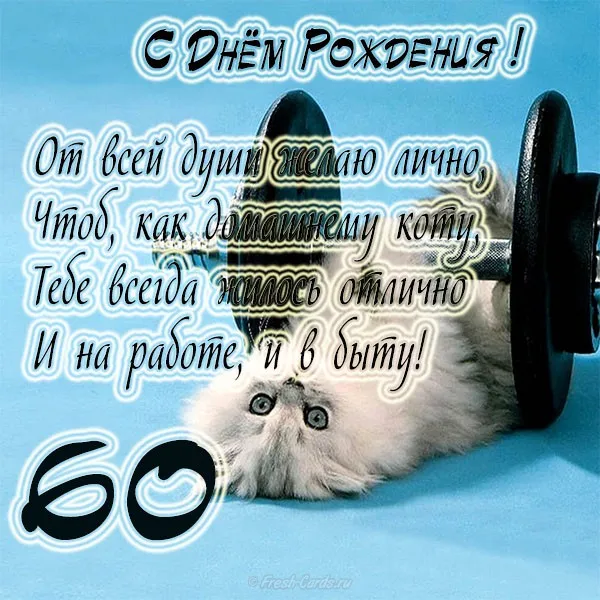 Открытка Открытки на 60 лет - Открытка с котиком: поздравление с юбилеем | Красивая открытка #30