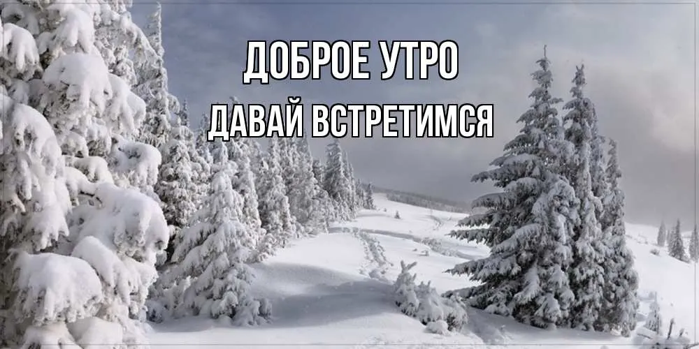 Открытка Давай встретимся  - Заснеженные ели: открытка с зимним пейзажем | Красивая открытка #9
