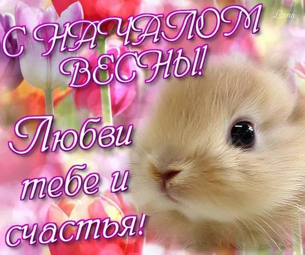 Открытка Первый день весны - Открытка с милым котенком и надписью "С Днем Рождения!" | Красивая открытка #140