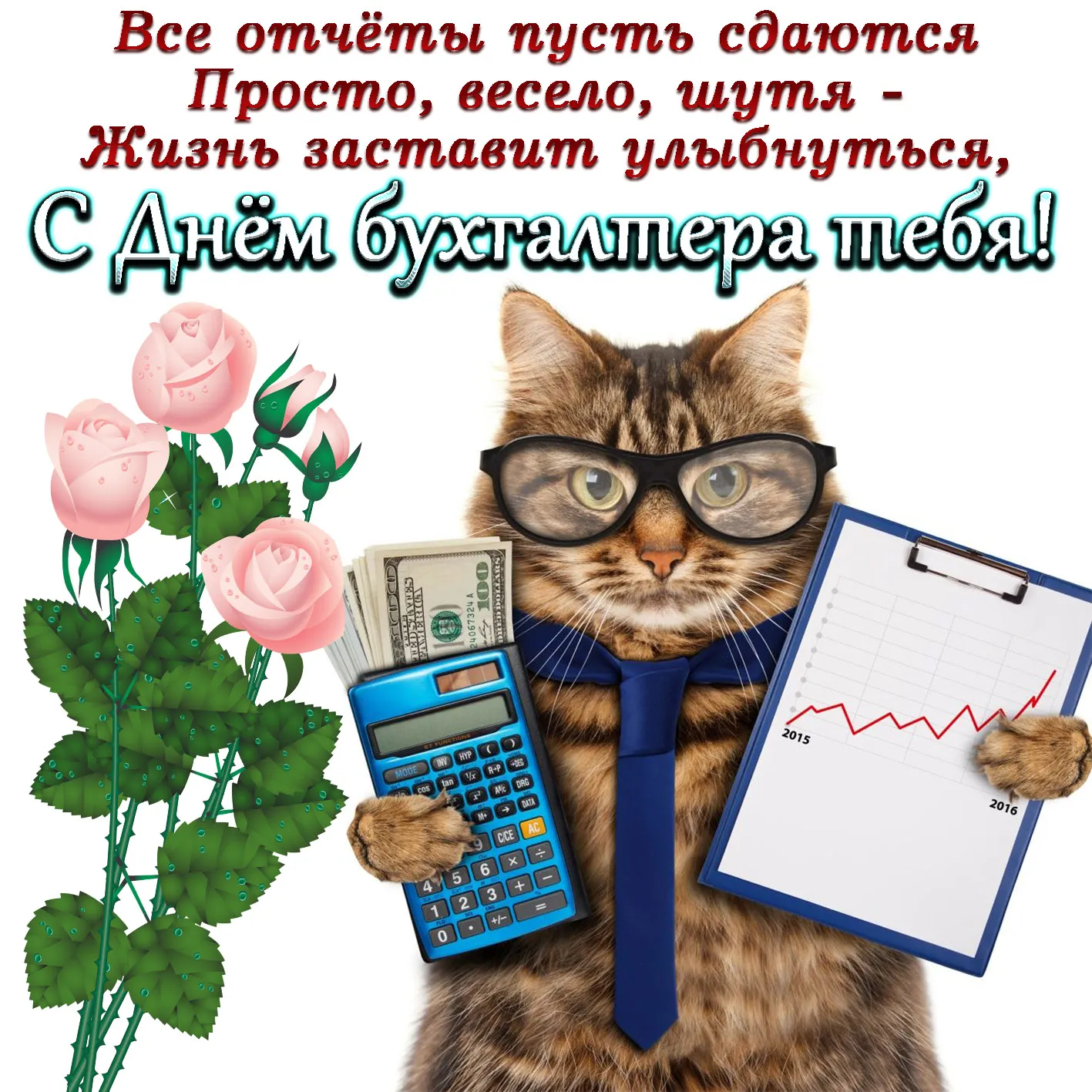 Открытка День бухгалтера - Открытка с котом-бухгалтером: смешное поздравление | Красивая открытка #4