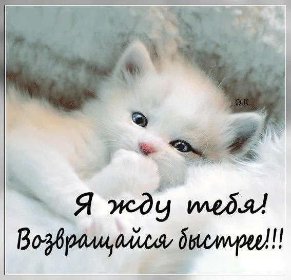 Открытка Возвращайся! - Милый котенок: открытка с очаровательным малышом | Красивая открытка #7