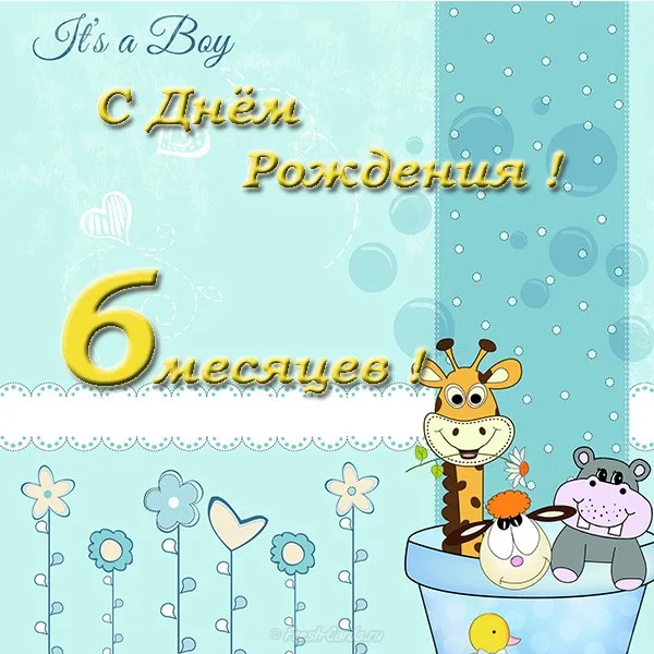 Открытка деские по месяцам - Открытка для мальчика: 6 месяцев, жираф и бегемот | Красивая открытка #25