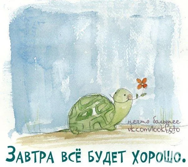 Открытка Открытки все будет хорошо - Черепаха с цветком: открытка с добрым пожеланием | Красивая открытка #33