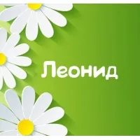 Открытка Открытки с именем Леонид  - Открытка с цветами: нежные ромашки на зелёном фоне | Красивая открытка #233