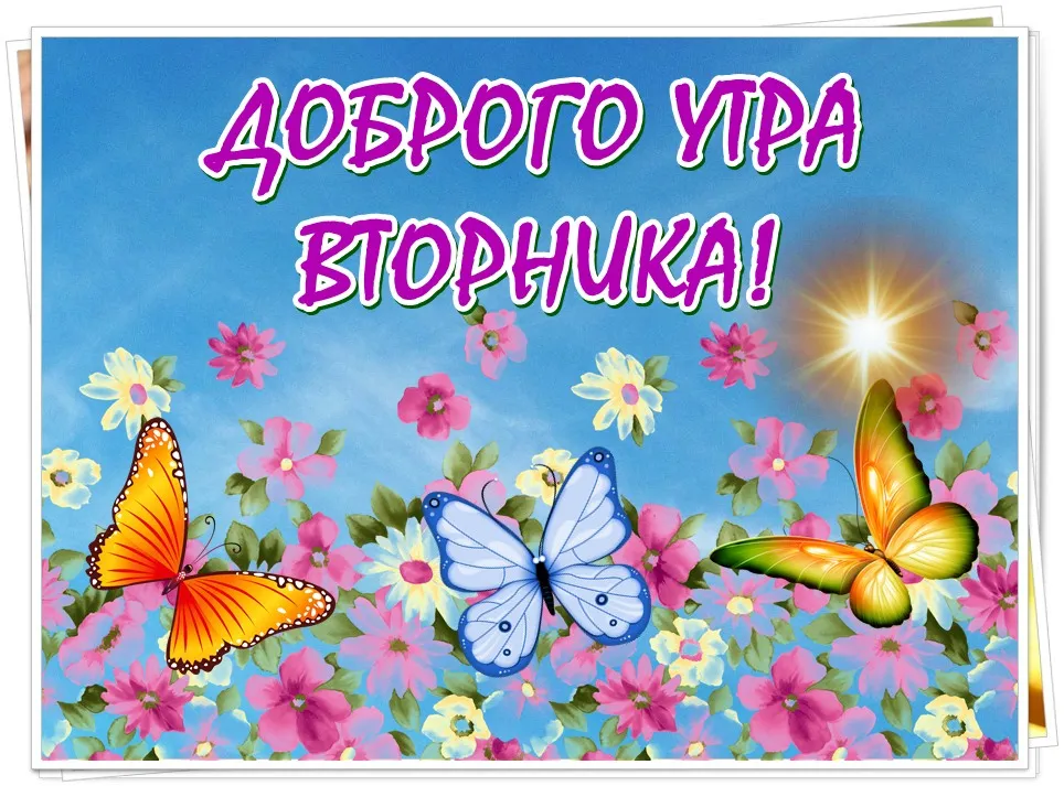 Открытка Доброе утро вторник - Красивые бабочки на цветочной поляне | Красивая открытка #23