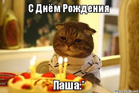 Открытка Открытки с именем Павел  - Кот с тортом: смешная открытка с Днём Рождения | Красивая открытка #46