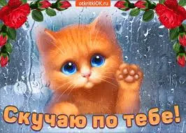 Открытка Открытки скучаю по тебе - Открытка с котенком: милая картинка, яркие розы | Красивая открытка #178