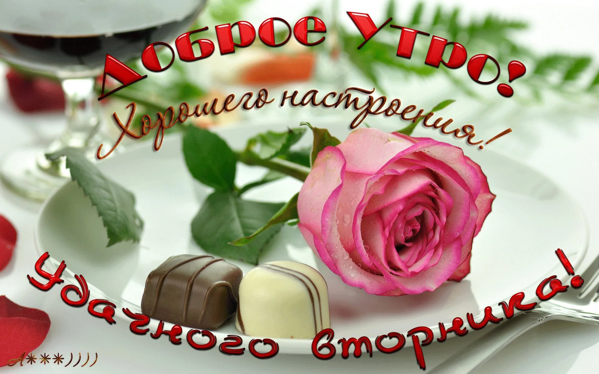 Открытка Доброе утро вторник - Розы, шоколад и праздник  открытка с любовью | Красивая открытка #15