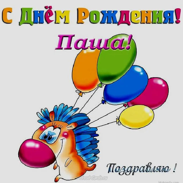 Открытка Открытки с именем Павел  - Открытка с ёжиком и шариками  поздравления с Днём рождения | Красивая открытка #104