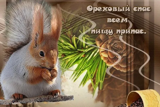 Открытка Ореховый спас - Белка на открытке: поздравления и пожелания | Красивая открытка #128