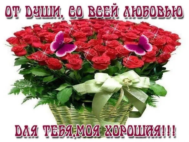 Открытка С любовью - Букет роз в плетеной корзине | Красивая открытка #51