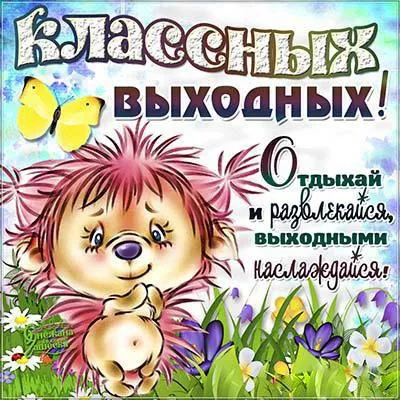 Открытка Выходные - Ежик на лугу: открытка с цветами и подсолнухом | Красивая открытка #61