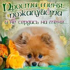 Открытка открытки с извинениями  - Открытка с щенком и цветами | Красивая открытка #119
