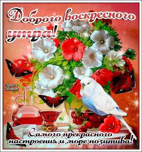 Открытка Открытки на воскресенье - Открытка с птицей и цветами | Красивая открытка #151