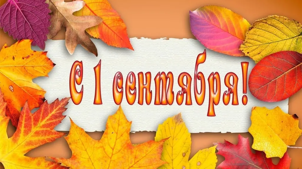 Открытка День знаний 1 сентября - Открытка «С 1 сентября!»: яркие осенние листья | Красивая открытка #21