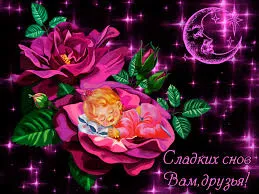 Открытка Спокойной ночи - Открытка: Спящий младенец в розовой розе. | Красивая открытка #253