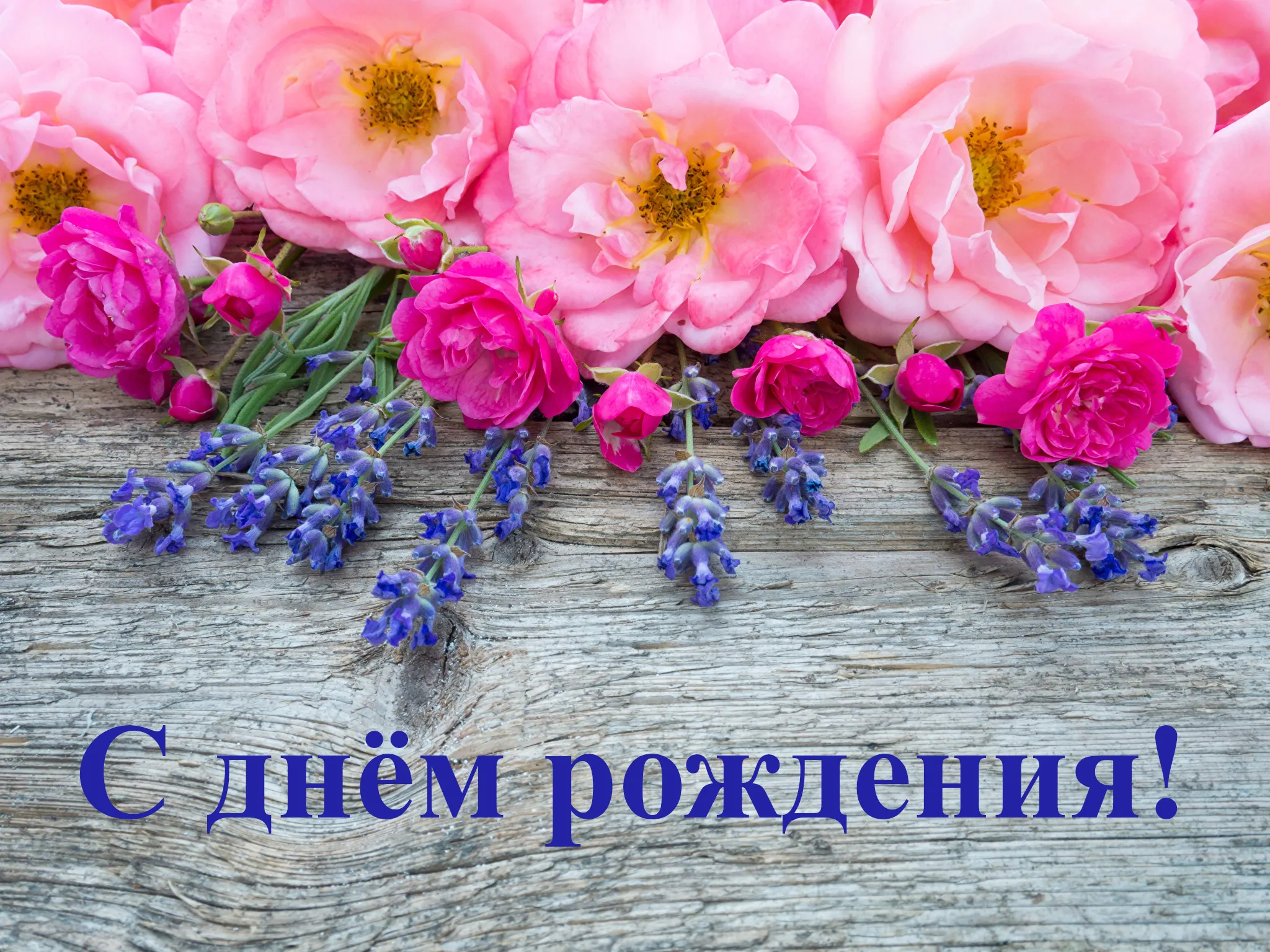 Открытка С днём рождения разное - Открытка: Розы и лаванда на дереве | Красивая открытка #22