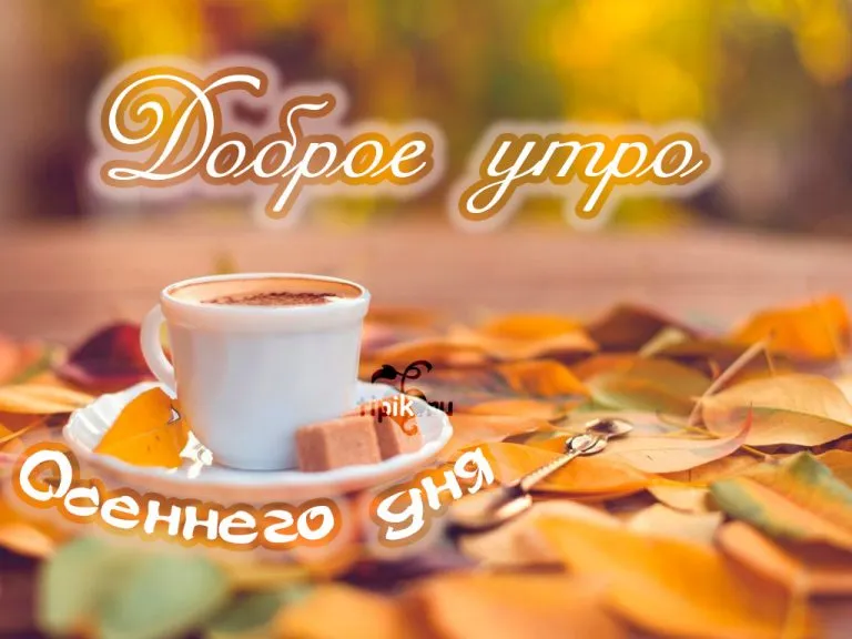 Открытка Открытки с добрым осенним утром - Доброе утро — pik.ru | Красивая открытка #59