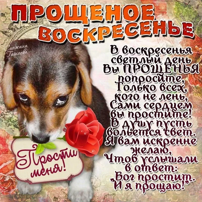 Открытка Прощённое воскресенье - Прости меня, я прощаю. | Красивая открытка #15
