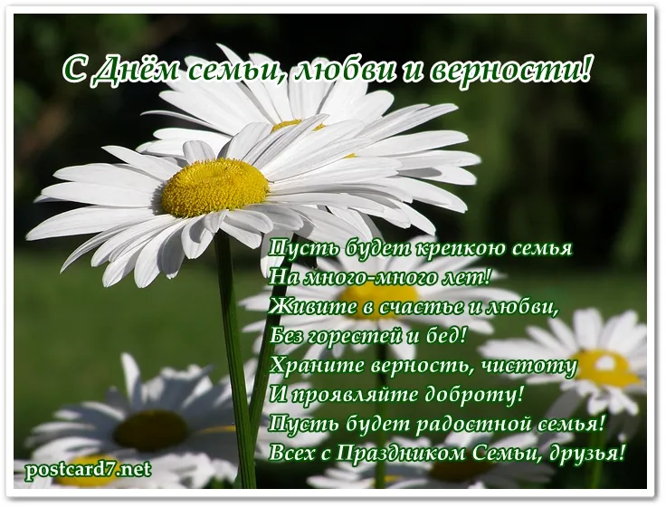 Открытка С ромашками - Полевые цветы. Открытка с днем семьи, любви и верности | Красивая открытка #4