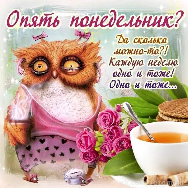 Открытка Дни недели - Сова с кофе и цветами: праздничная открытка | Красивая открытка #72