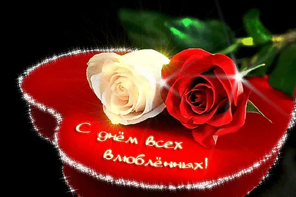 Открытка День Святого Валентина - Розы: красная и белая. Праздничная открытка. | Красивая открытка #13