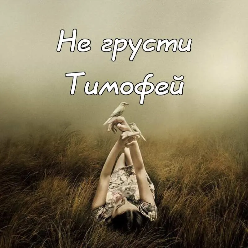 Открытка Открытки с именем Тимофей - Девушка на лугу с птицей - открытка | Красивая открытка #176