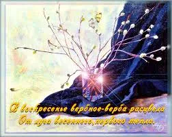 Открытка открытки с вербным воскресеньем  - Весенние ветки цветущего дерева на темном фоне | Красивая открытка #133