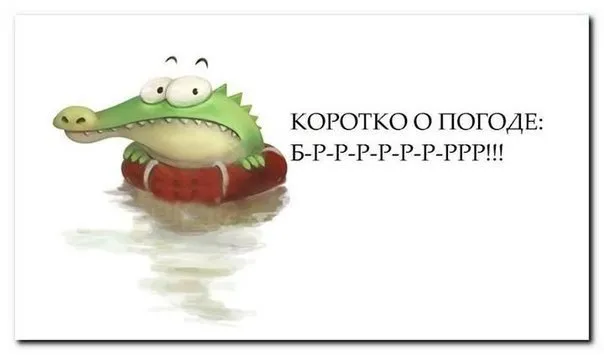 Открытка Картинки про погоду - Забавная открытка с крокодилом на буйке | Красивая открытка #39