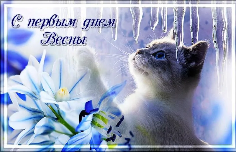 Открытка  С первым днем весны - Открытка с котенком и цветами: голубые подснежники | Красивая открытка #111