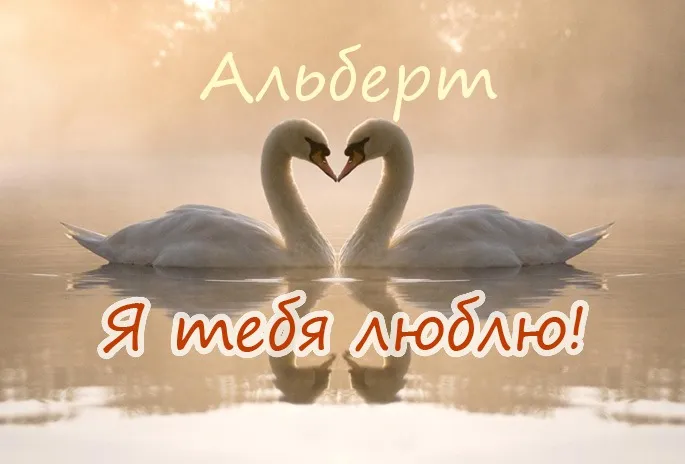 Открытка открытки с именем Альберт - Лебеди в форме сердца: романтическая открытка | Красивая открытка #125