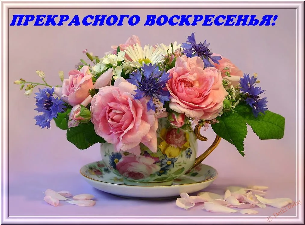 Открытка Открытки на воскресенье - Букет цветов в чашке: нежные розы и васильки | Красивая открытка #67