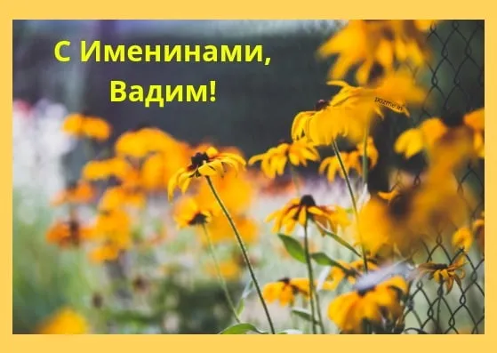 Открытка открытки с именем Вадим - Открытка с цветами: яркое поле цветов на фоне зелени | Красивая открытка #79