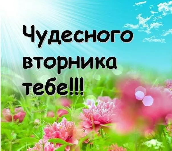 Открытка Дни недели - Открытка с цветами: Розы на фоне голубого неба | Красивая открытка #64