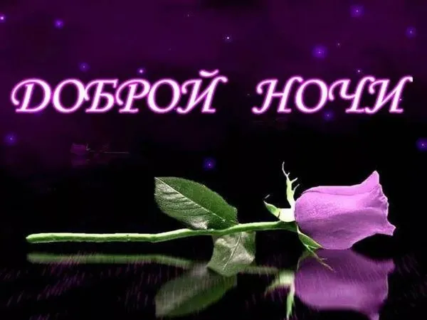Открытка Доброй ночи - Открытка "Доброй ночи": Фиолетовая роза на черном фоне | Красивая открытка #147
