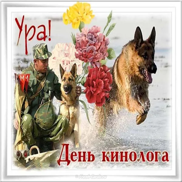 Открытка День кинолога - Открытка с немецкой овчаркой и военным | Красивая открытка #22