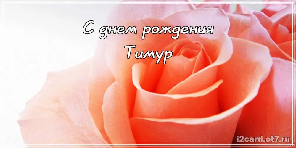 Открытка Открытки с именем Тимур - Открытка с розовыми розами — iCard.ru | Красивая открытка #265