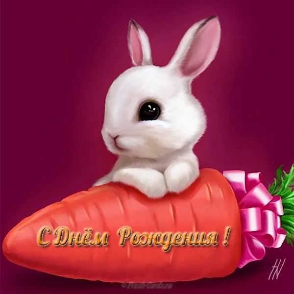 Открытка С зайчиками - Открытка с зайцем и морковью — С Днем рождения! | Красивая открытка #39