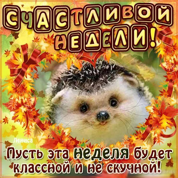 Открытка Хорошей недели - Ежик на осеннем фоне: открытка с днем рождения | Красивая открытка #57