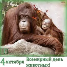 Открытка День защиты животных - Открытка с гориллами: День всех животных - поздравительная | Красивая открытка #18